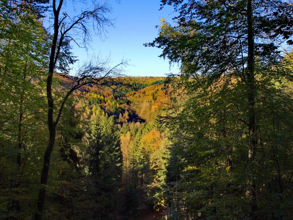 Herbstlicher Stadtwald Herbstlicher Stadtwald