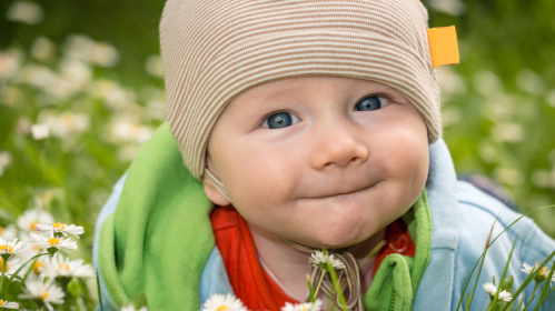 Junge (Foto: ferkelraggae/fotolia) Junge (Foto: ferkelraggae/fotolia)