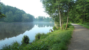Waldweiher Burbach Waldweiher Burbach (Quelle: Frank Schilling)