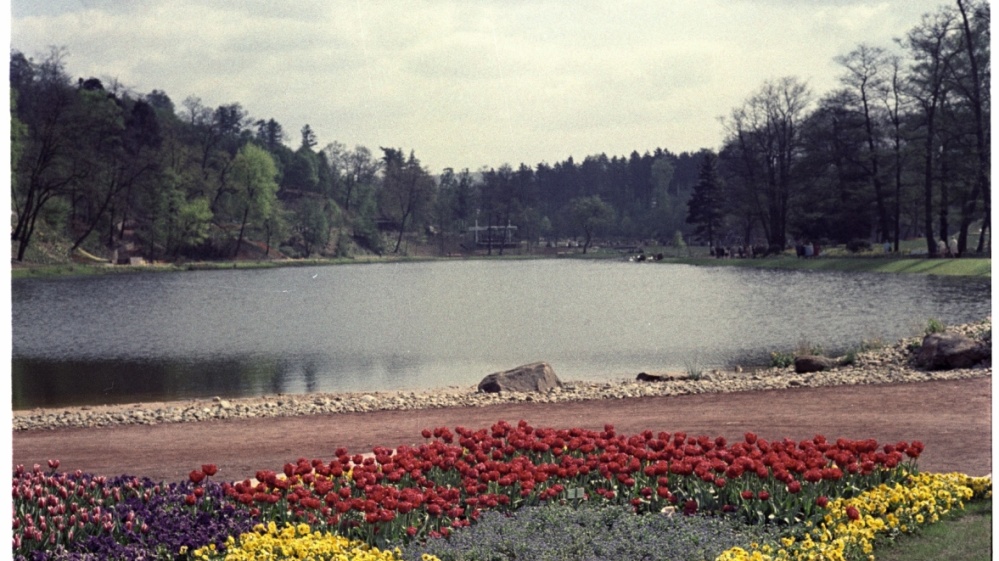 Am Ufer des Deutschmühlenweihers. Am Ufer des Deutschmühlenweihers.