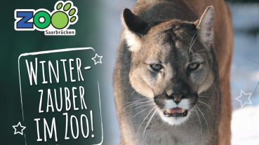 Winterzauber im Saarbrücker Zoo (Quelle: Zoo Saarbrücken) Image