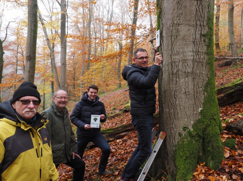von links: Manfred Glaub, Projektbegleiter NABU, Dr. Hubertus Lehnhausen (Beisitzer im NABU-Vorstand), Baudezernent Patrick Berberich, Carlo Segeth, Vorstandsvorsitzender Bank 1 Saar beim Befestigen der Plakette von links: Manfred Glaub, Projektbegleiter NABU, Dr. Hubertus Lehnhausen (Beisitzer im NABU-Vorstand), Baudezernent Patrick Berberich, Carlo Segeth, Vorstandsvorsitzender Bank 1 Saar beim Befestigen der Plakette