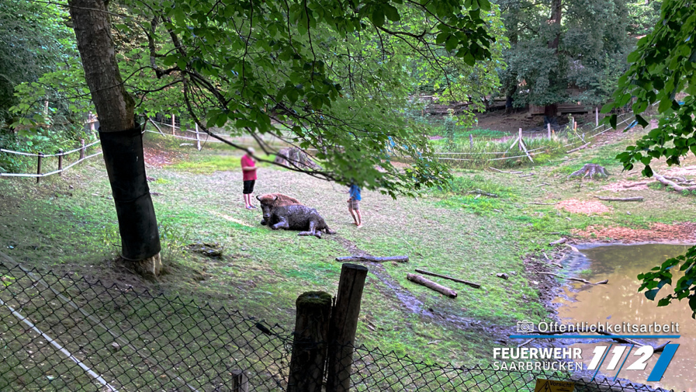 Einsatzbilder Tierrettung Wildpark Einsatzbilder Tierrettung Wildpark