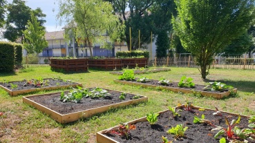 Nachbarschaftsgarten Leipziger Wiese (Quelle: ZBB) Image