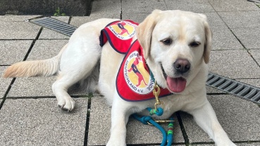 Kampagne "Assistenzhund Willkommen" Image