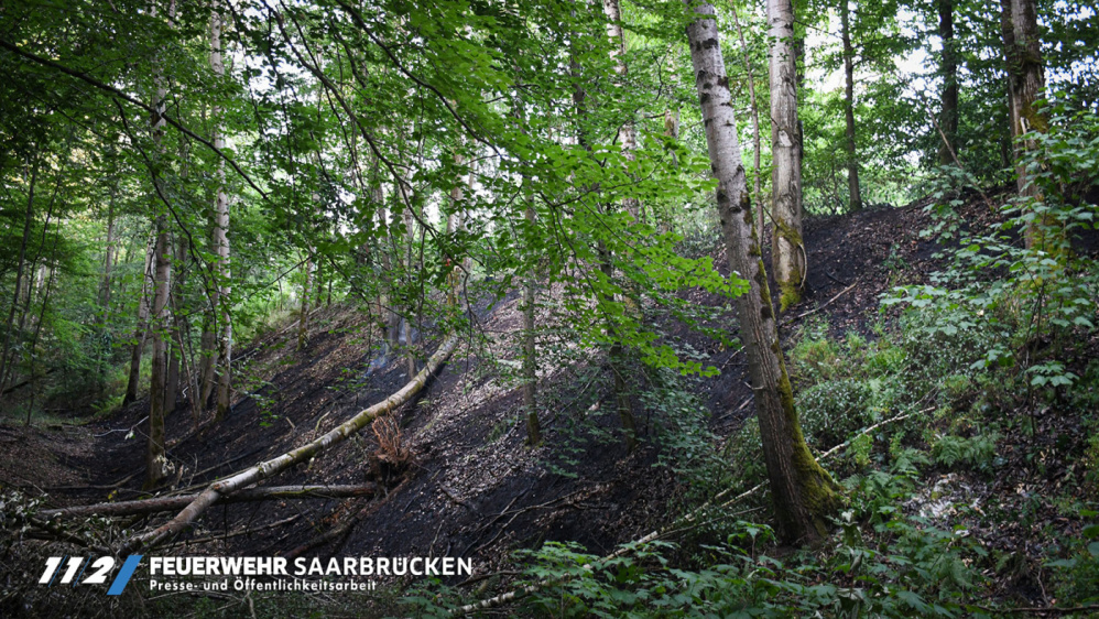 Einsatzbilder Waldbrand Deutschmühlental Einsatzbilder Waldbrand Deutschmühlental