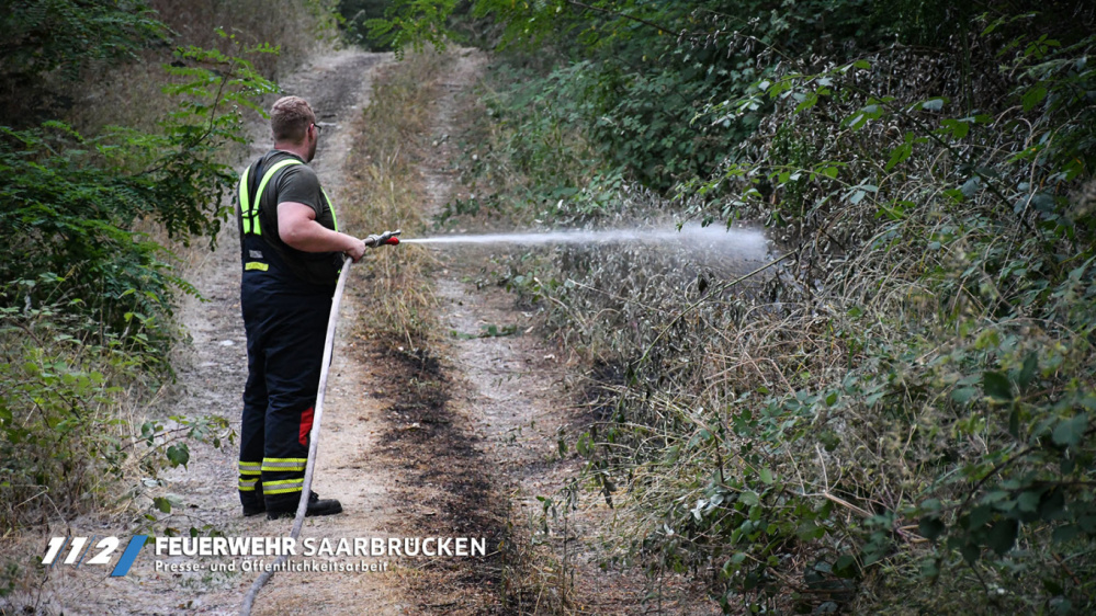 Einsatzbilder Waldbrand Deutschmühlental Einsatzbilder Waldbrand Deutschmühlental