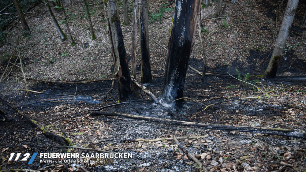 Einsatzbilder Waldbrand Deutschmühlental Einsatzbilder Waldbrand Deutschmühlental