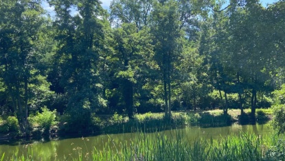 Tabaksmühlenweiher im Almet Tabaksmühlenweiher im Almet