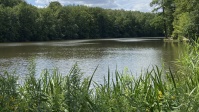Netzbachweiher