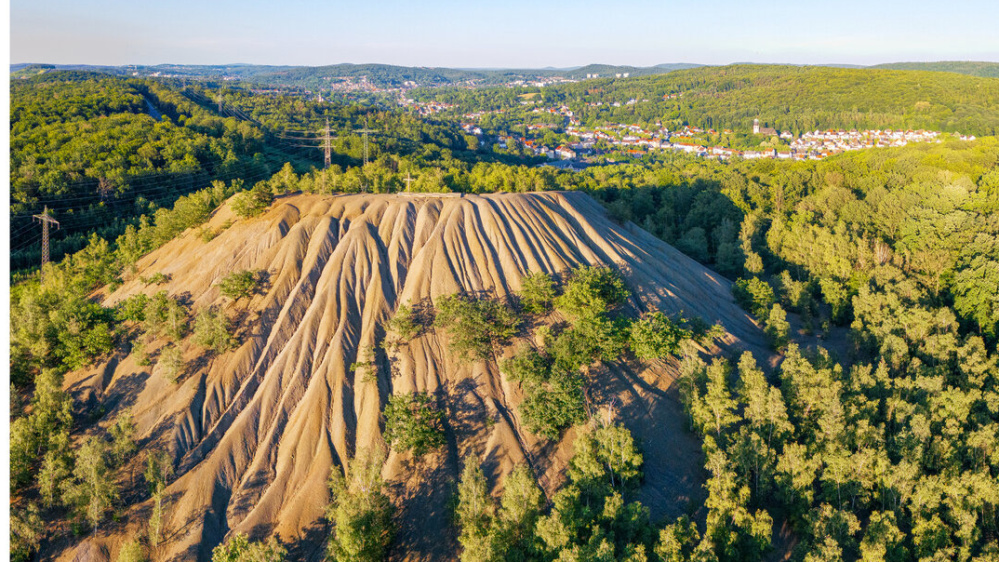 Naturdenkmal Halde Jägersfreude Aufgeschütteter Berg im Wald