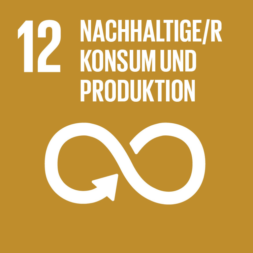Symbol für Nachhaltigkeitsziel 12: Nachhaltige Konsum- und Produktionsmuster