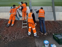 Männer in Warnwesten stehen an einem Bahn-Schallschutz und überstreichen ihn